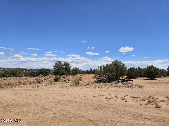 RANCH OF THE WHITE MOUNTAINS UNIT A1 - Land