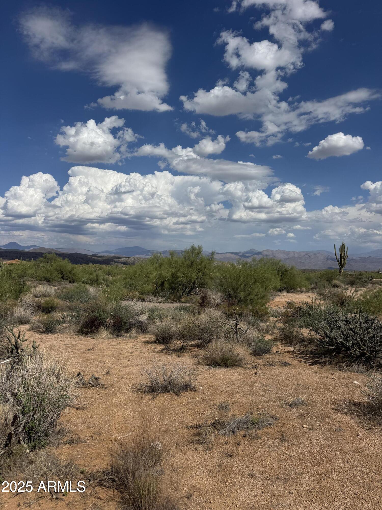 14100 E Villa Cassandra Drive 4