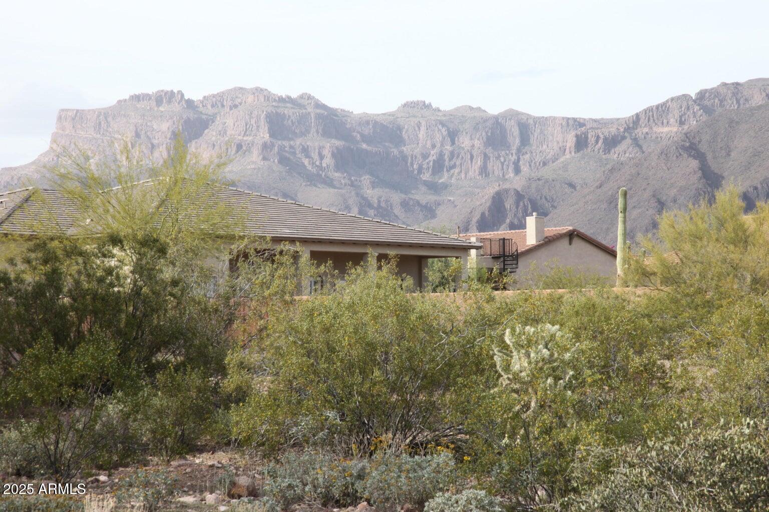 10584 E WALKING STICK Way 4