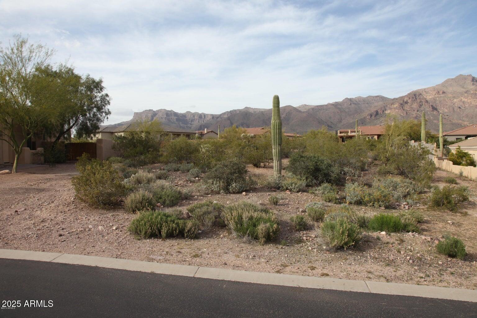 10584 E WALKING STICK Way 4