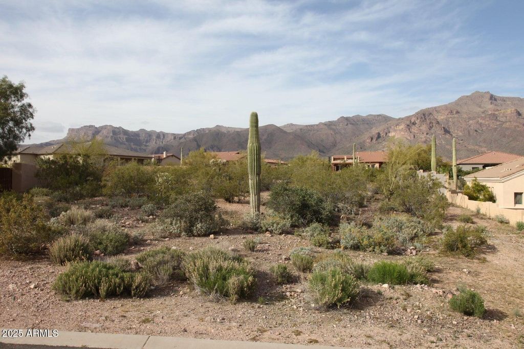 Photo of 10584 E Walking Stick Way #4, Gold Canyon, AZ 85118 (MLS # 6952560)