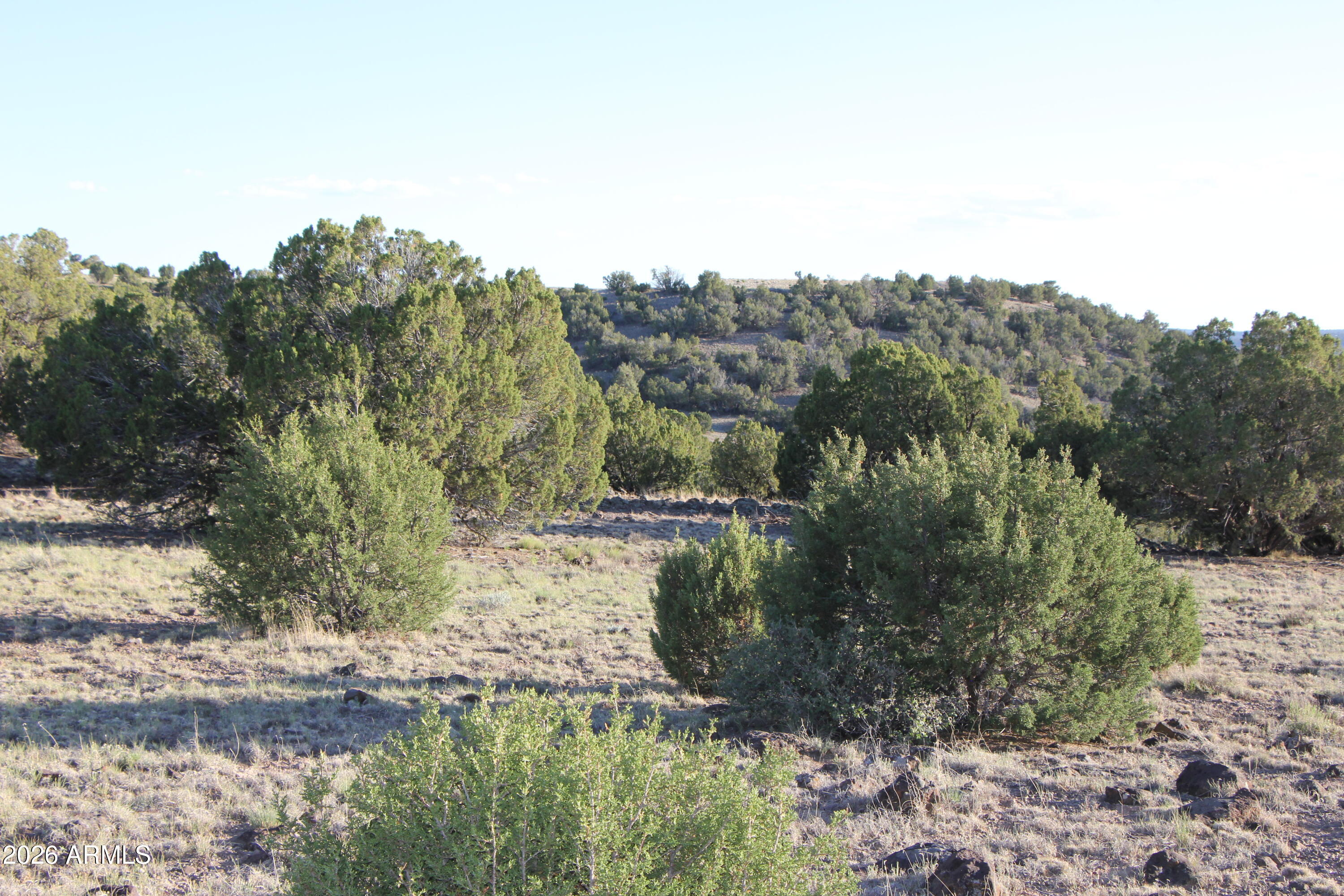 8623 TBD County Road 8623 -- 62