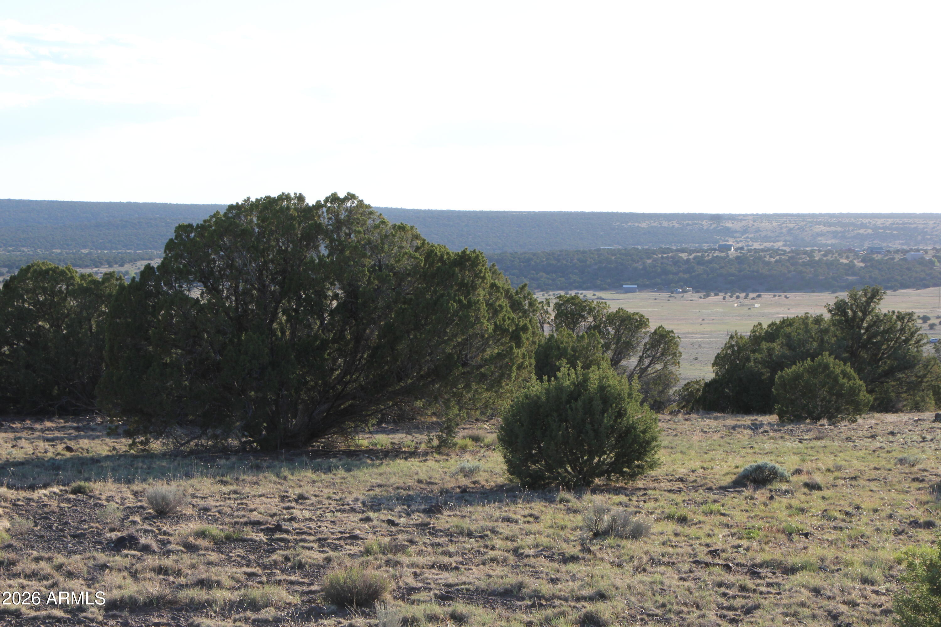 8623 TBD County Road 8623 -- 62