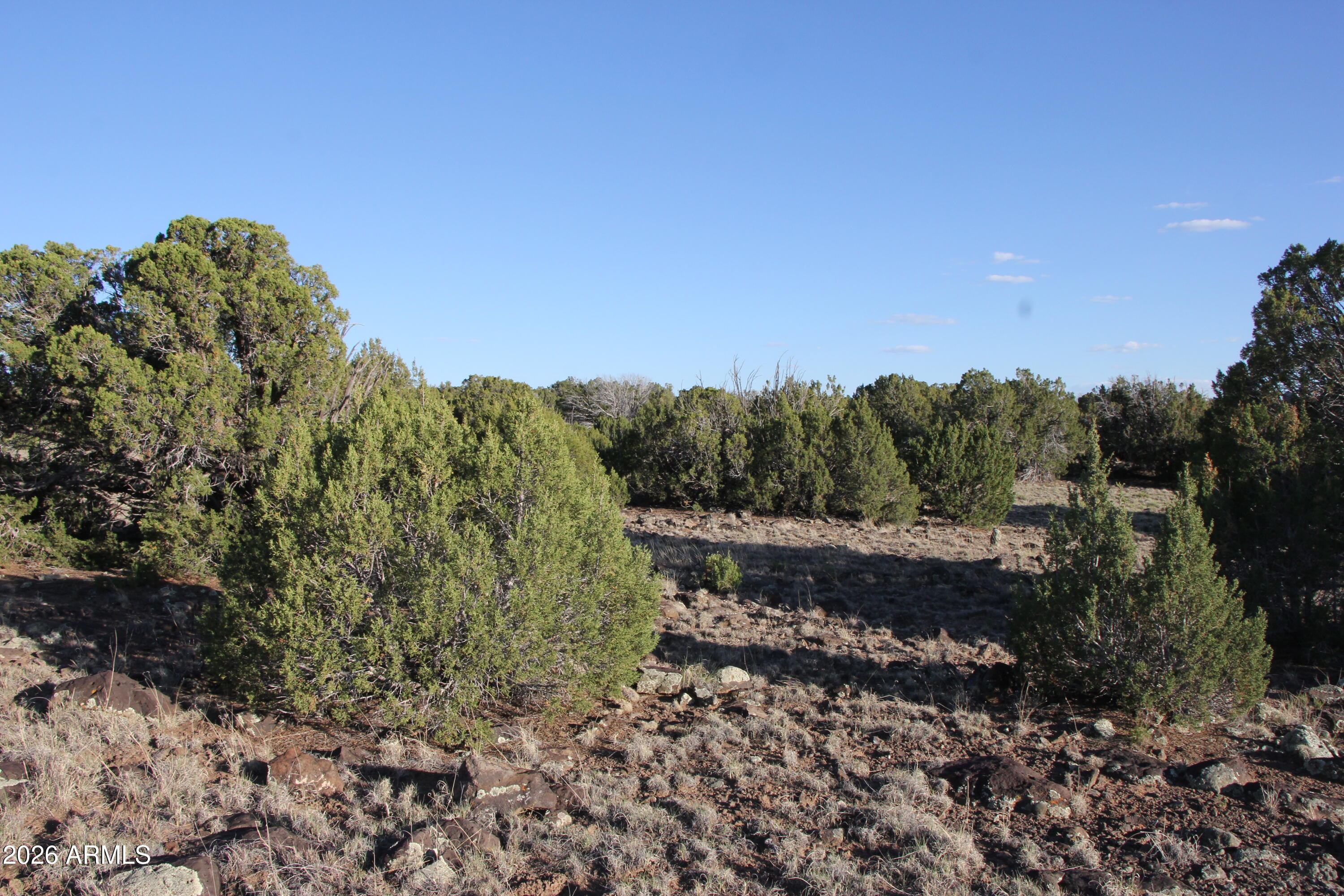 8623 TBD County Road 8623 -- 62