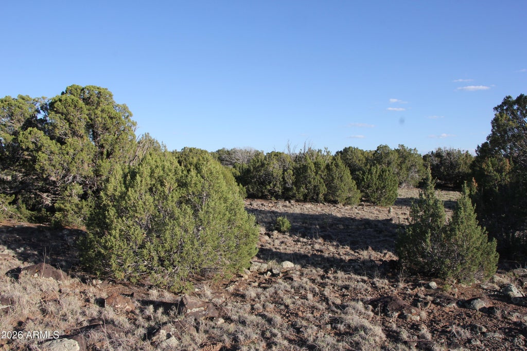 Photo of 8623 Tbd County Road 8623 #62, Concho, AZ 85924 (MLS # 7056717)