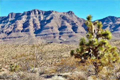 165 Ivy Lane 165 Meadview AZ 86444