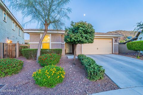 Single Family Residence in Peoria AZ 27229 103RD Avenue.jpg