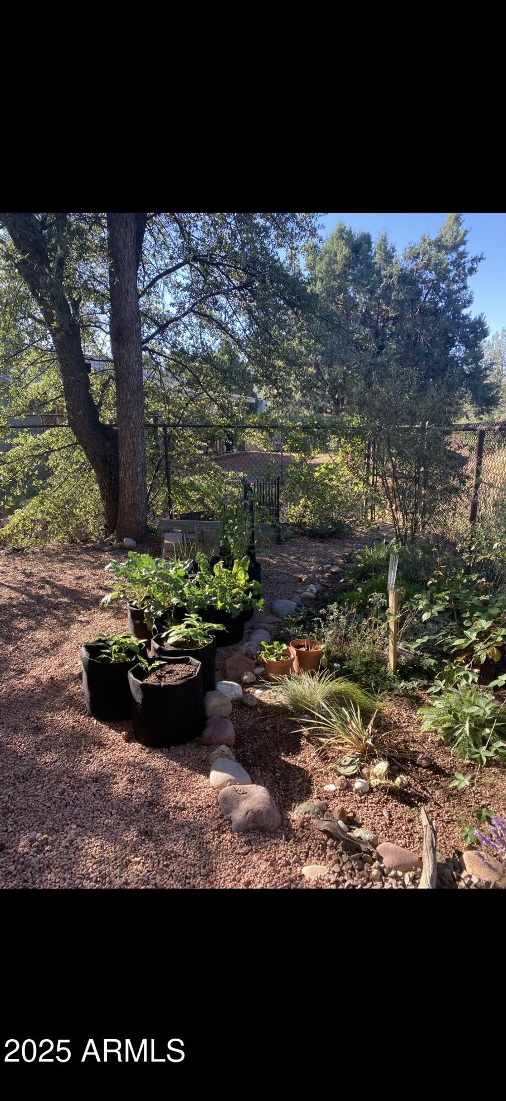listing image 54