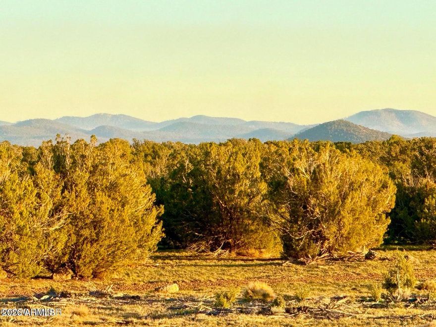 Just 20 minutes from Show Low, bordering state land while offering total seclusion and off-grid living. Enjoy beautiful surrounding views on this property, which has already passed a perc test for a conventional septic system. No 4x4 or high clearance needed. Owner may carry. Additional parcels available