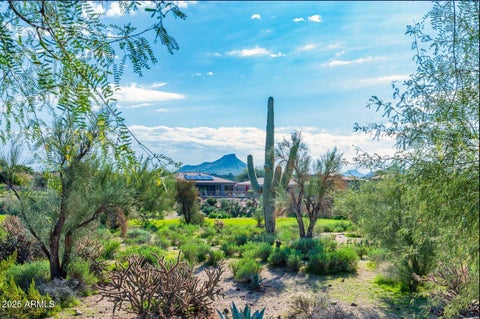 Photo of 34415 N 99th Street, Scottsdale, AZ 85262 (MLS # 6957189)