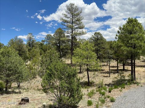 3337 SAWMILL RIDGE Loop 98 Heber AZ 85928