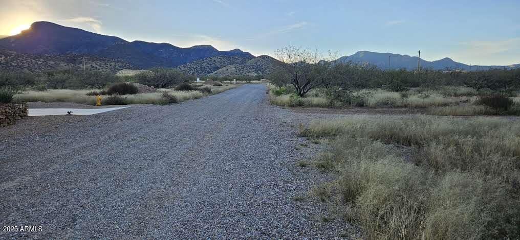 1.25 Acres E Emma Lane lot 1 -- -