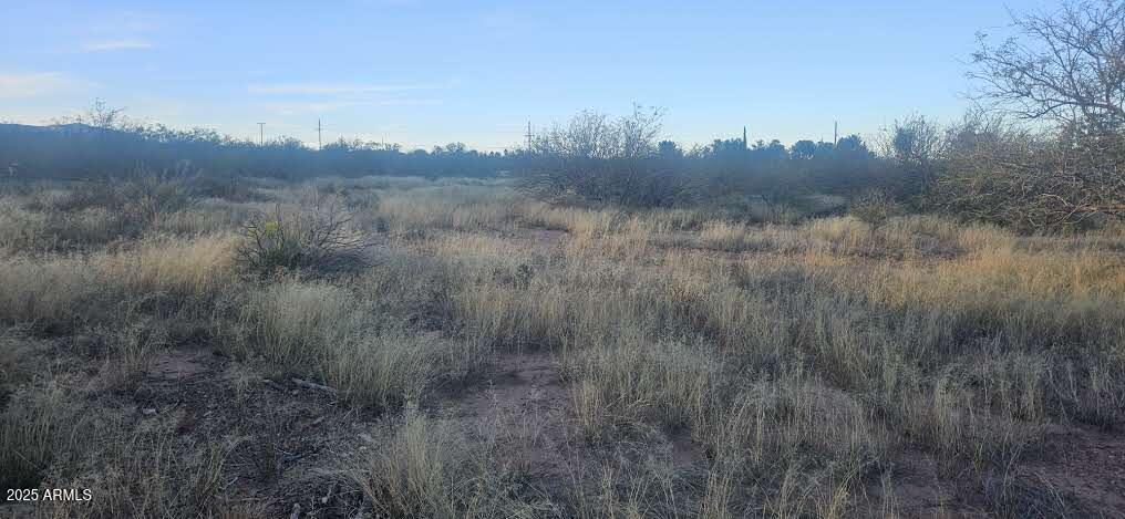 1.25 Acres E Emma Lane lot 1 -- -