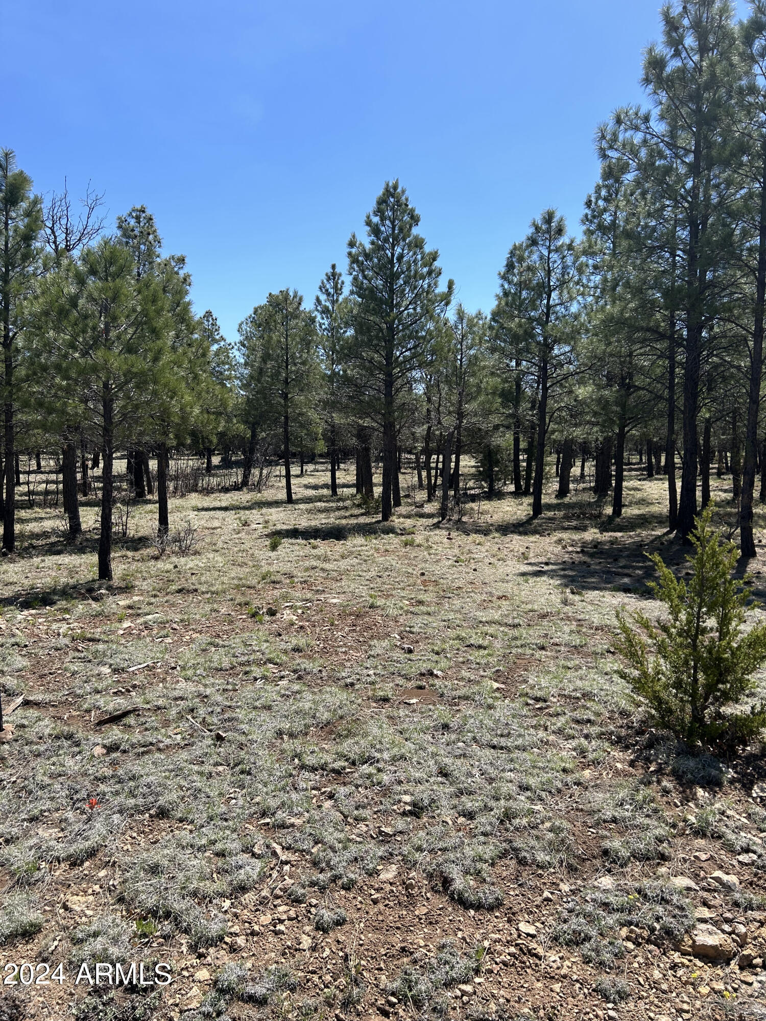 4783 HORSESHOE Drive 94