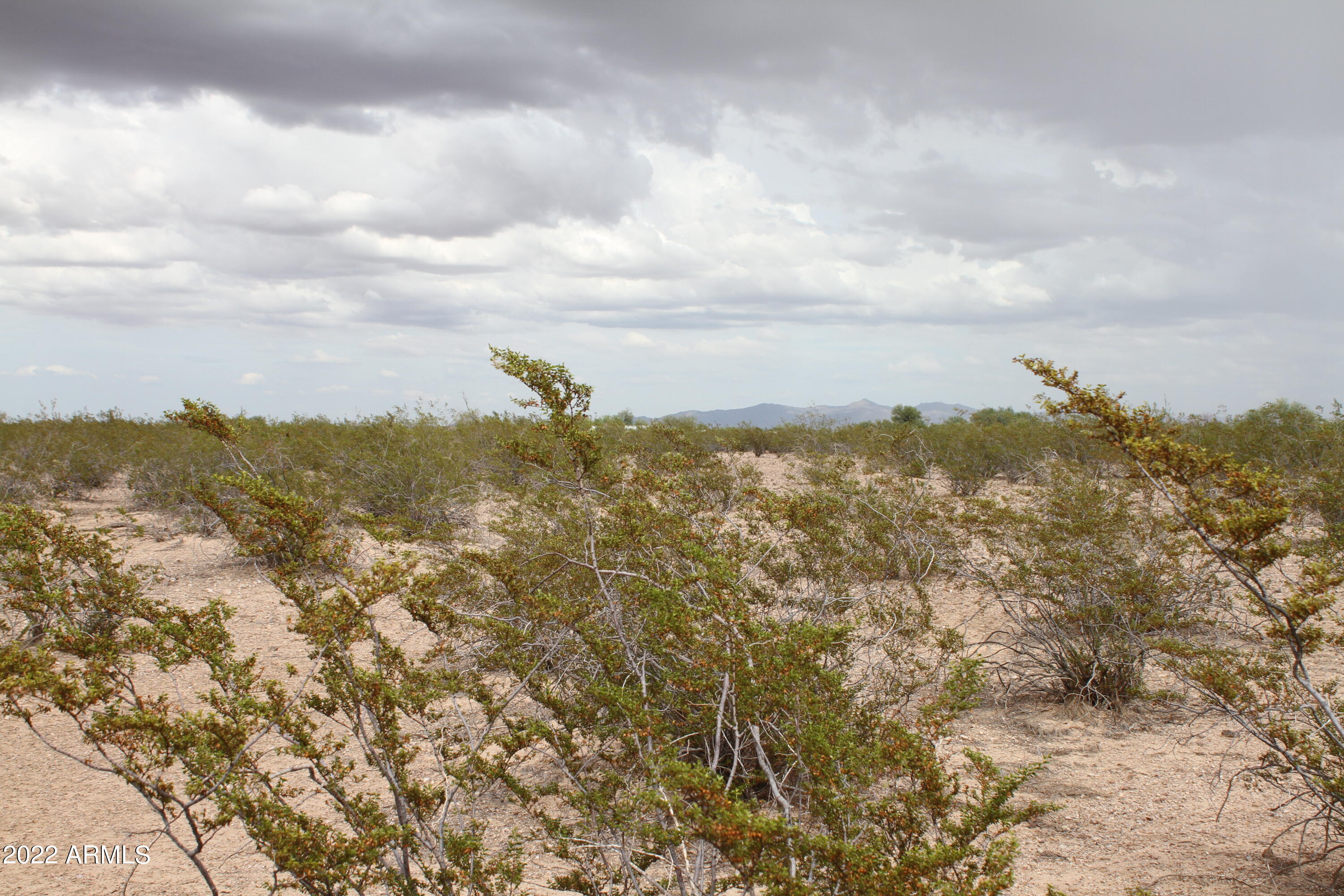 38939 W AVALON Drive 1223