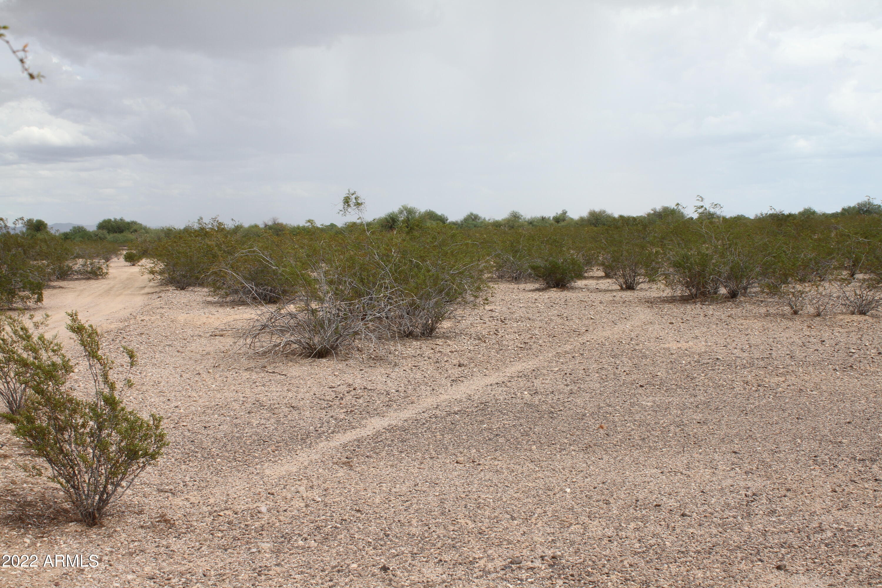 38939 W AVALON Drive 1223