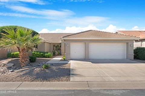 24402 S AGATE Drive Sun Lakes AZ 85248