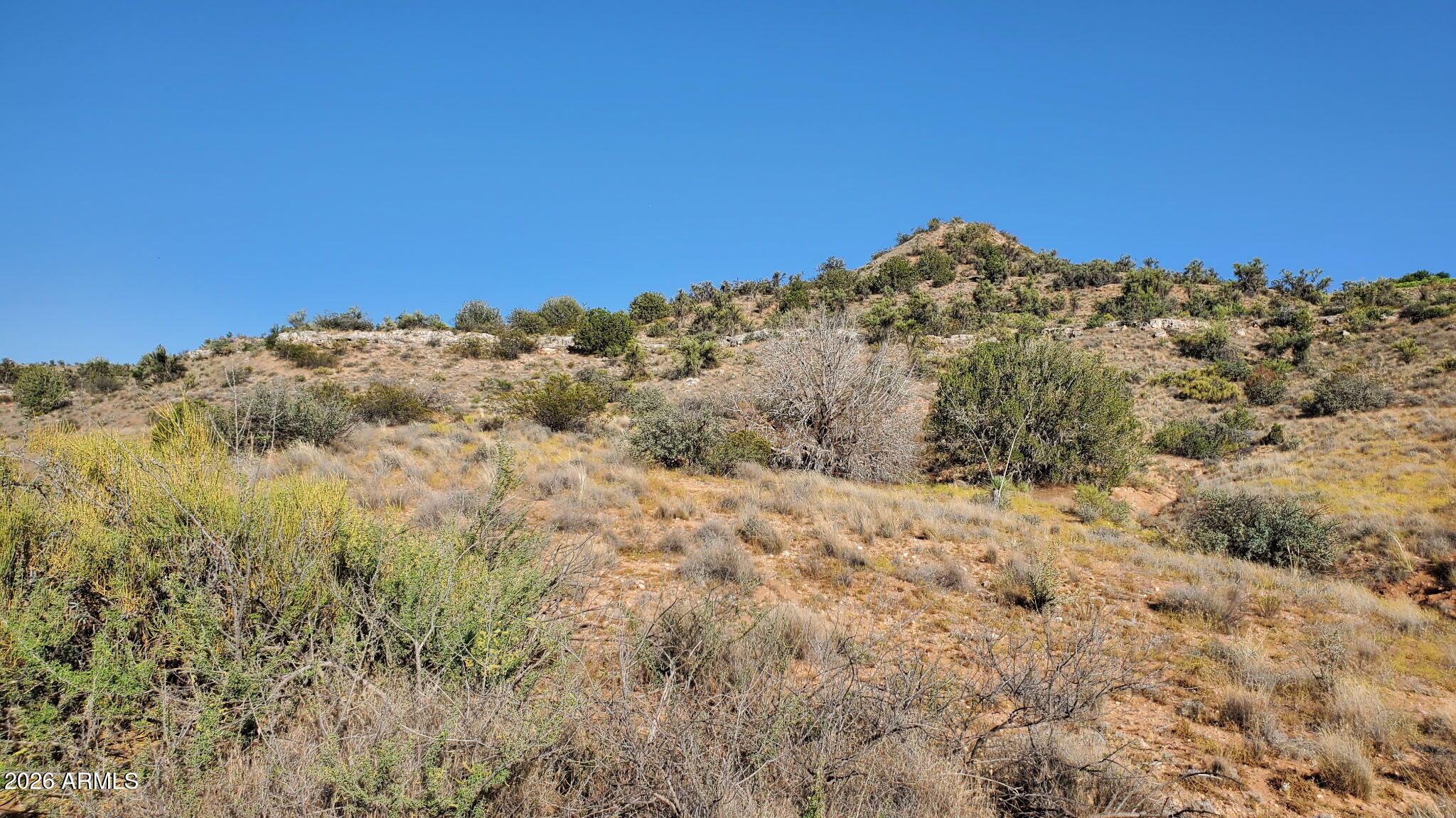 12605 E SIENNA HILLS Drive -