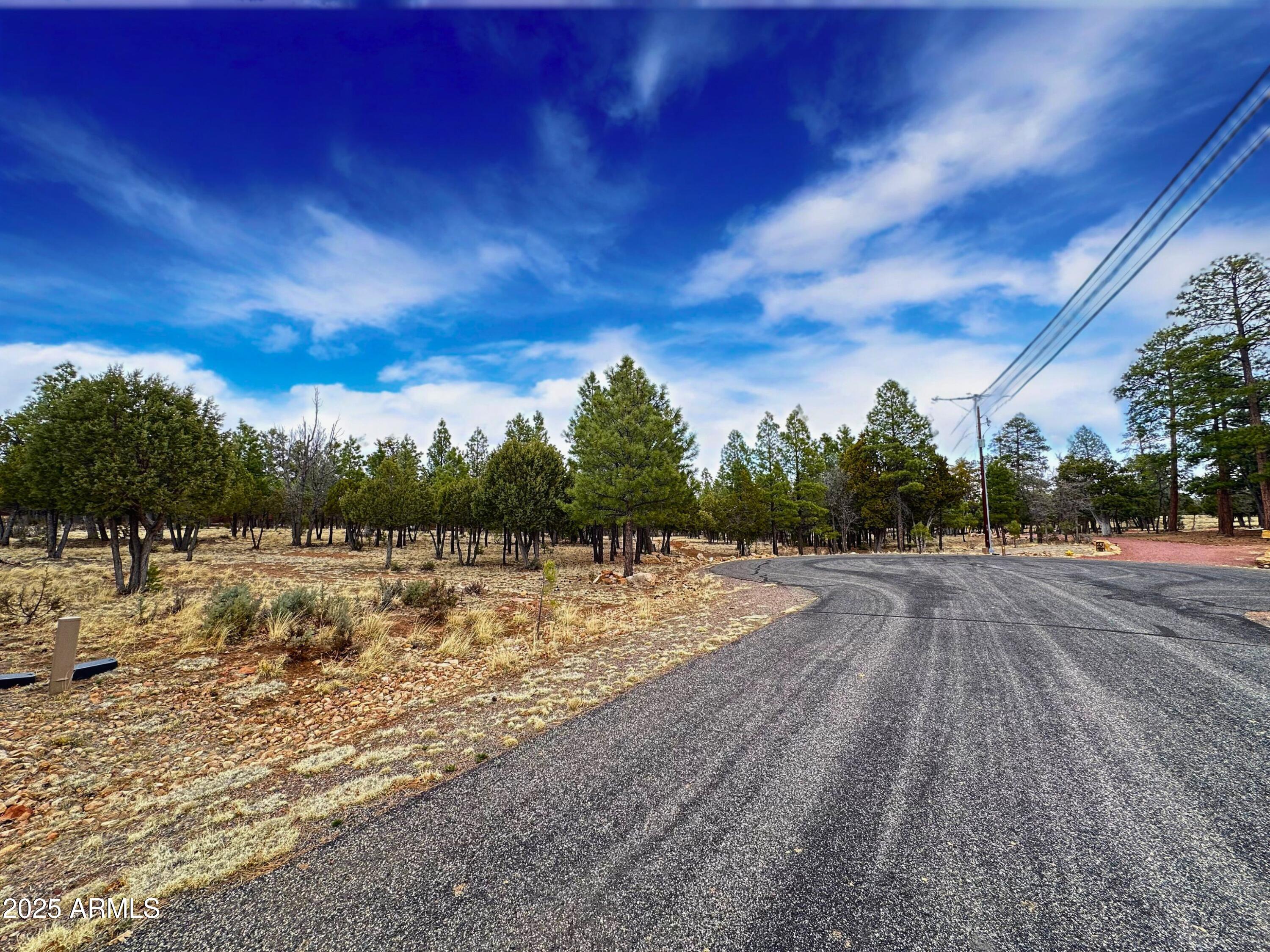 5823 Cripple Creek 259