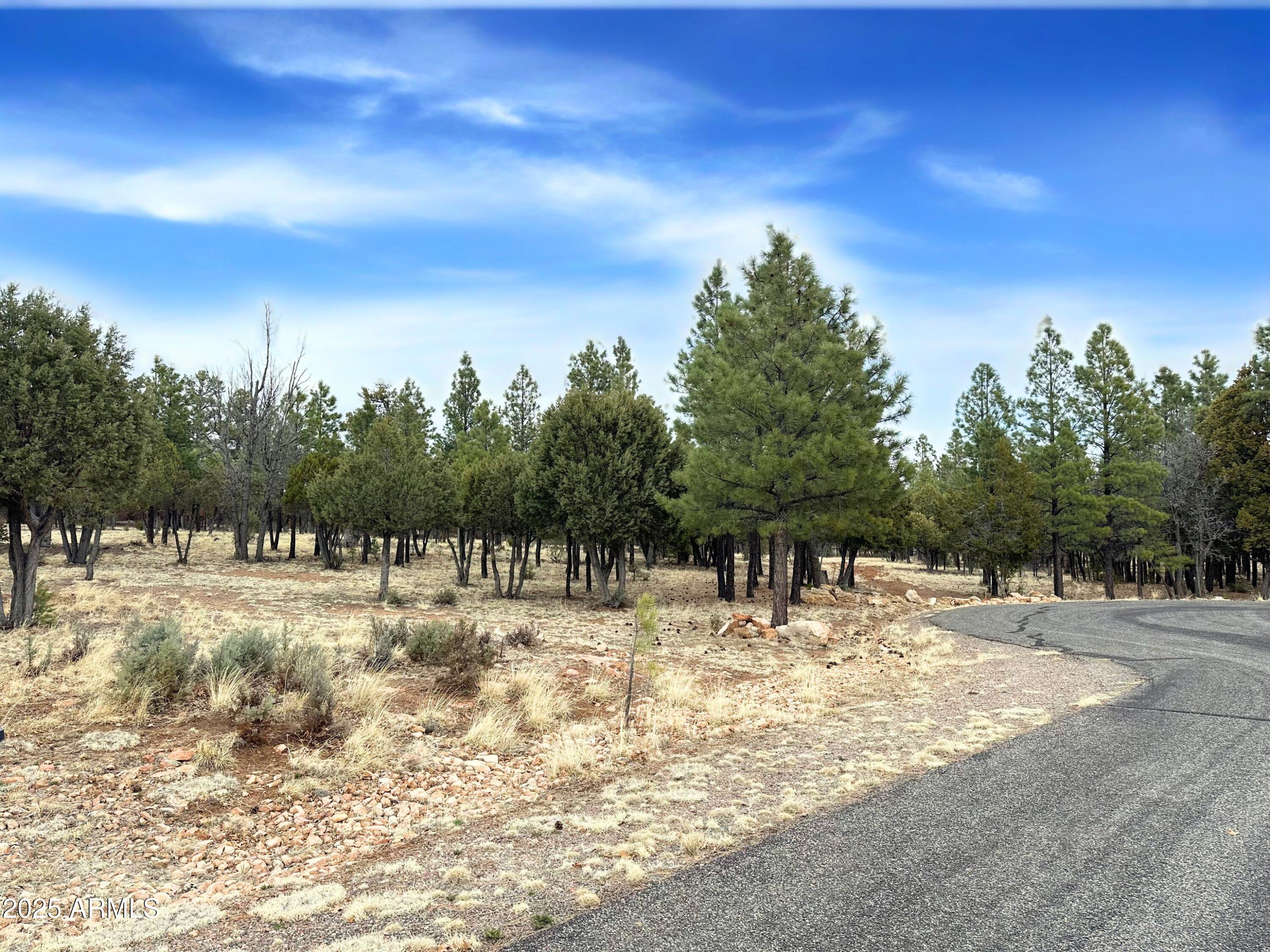 5823 Cripple Creek 259