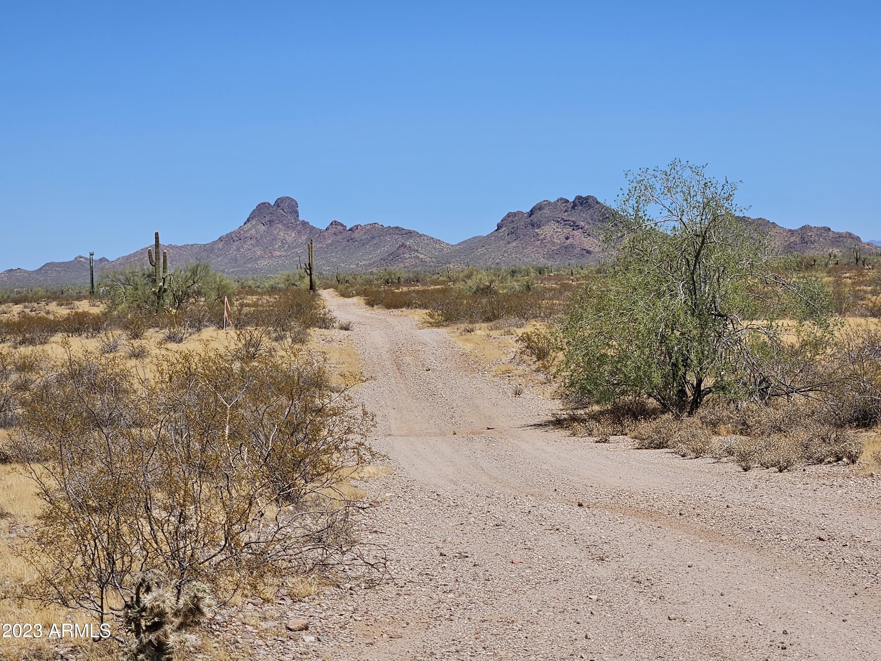 32925 W Restin Road 36