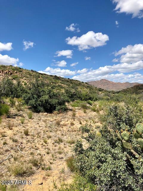 22xxx W Well Springs Road 246