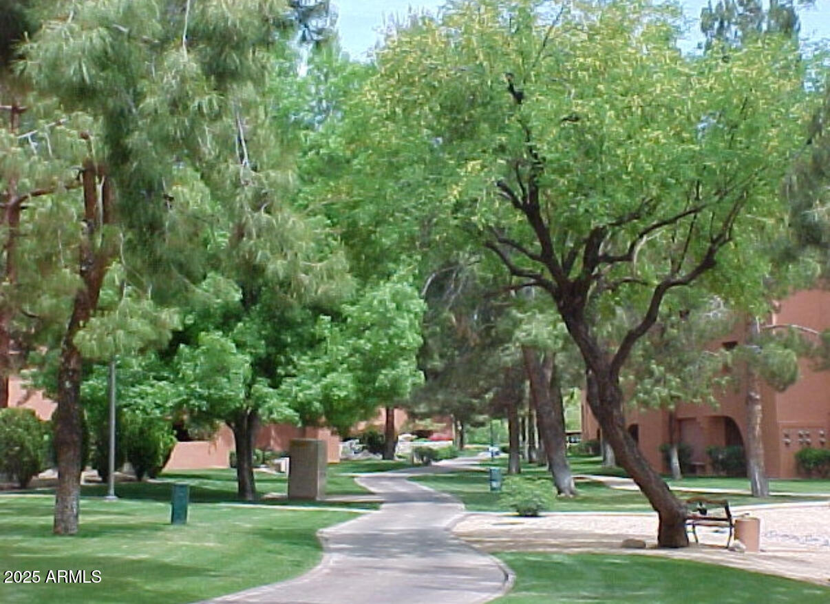 4303 E CACTUS Road 146