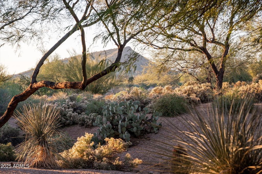 Photo of 38720 N 104th Street, Scottsdale, AZ 85262 (MLS # 6974842)