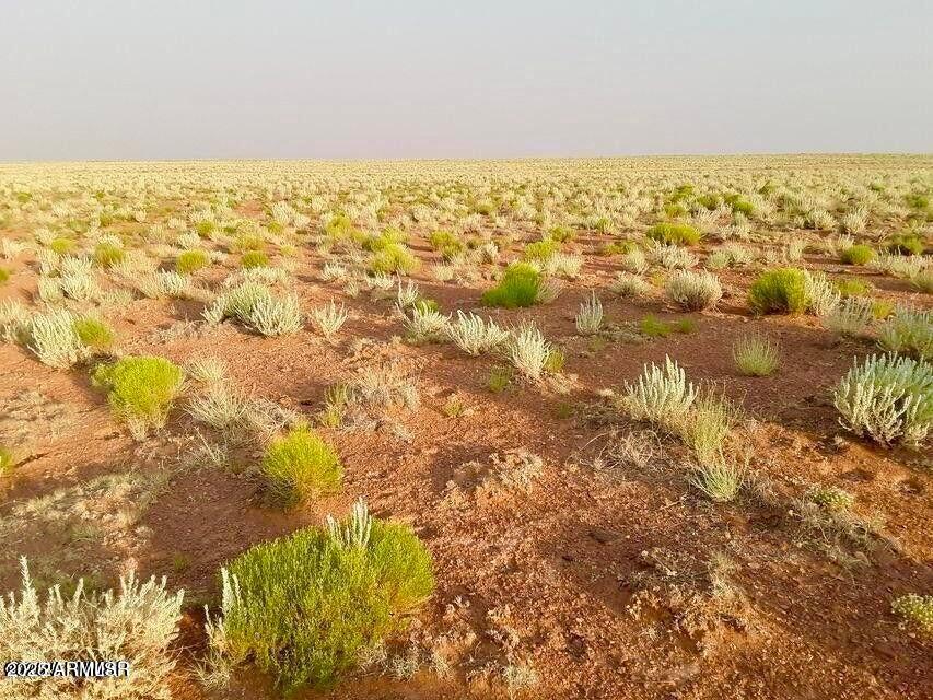 TBD Hodges Ln 39.05 Acres -- -