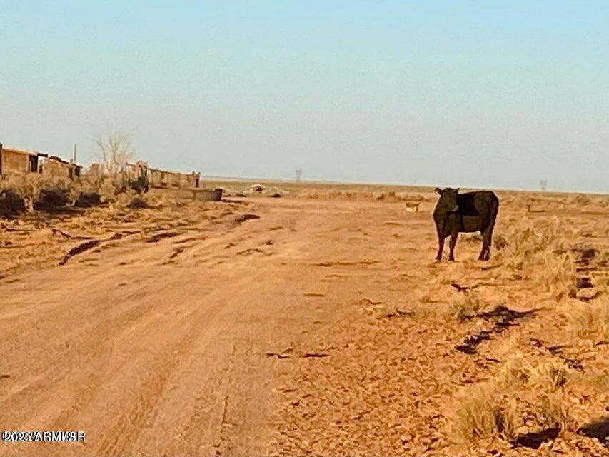 TBD Hodges Ln 39.05 Acres -- -