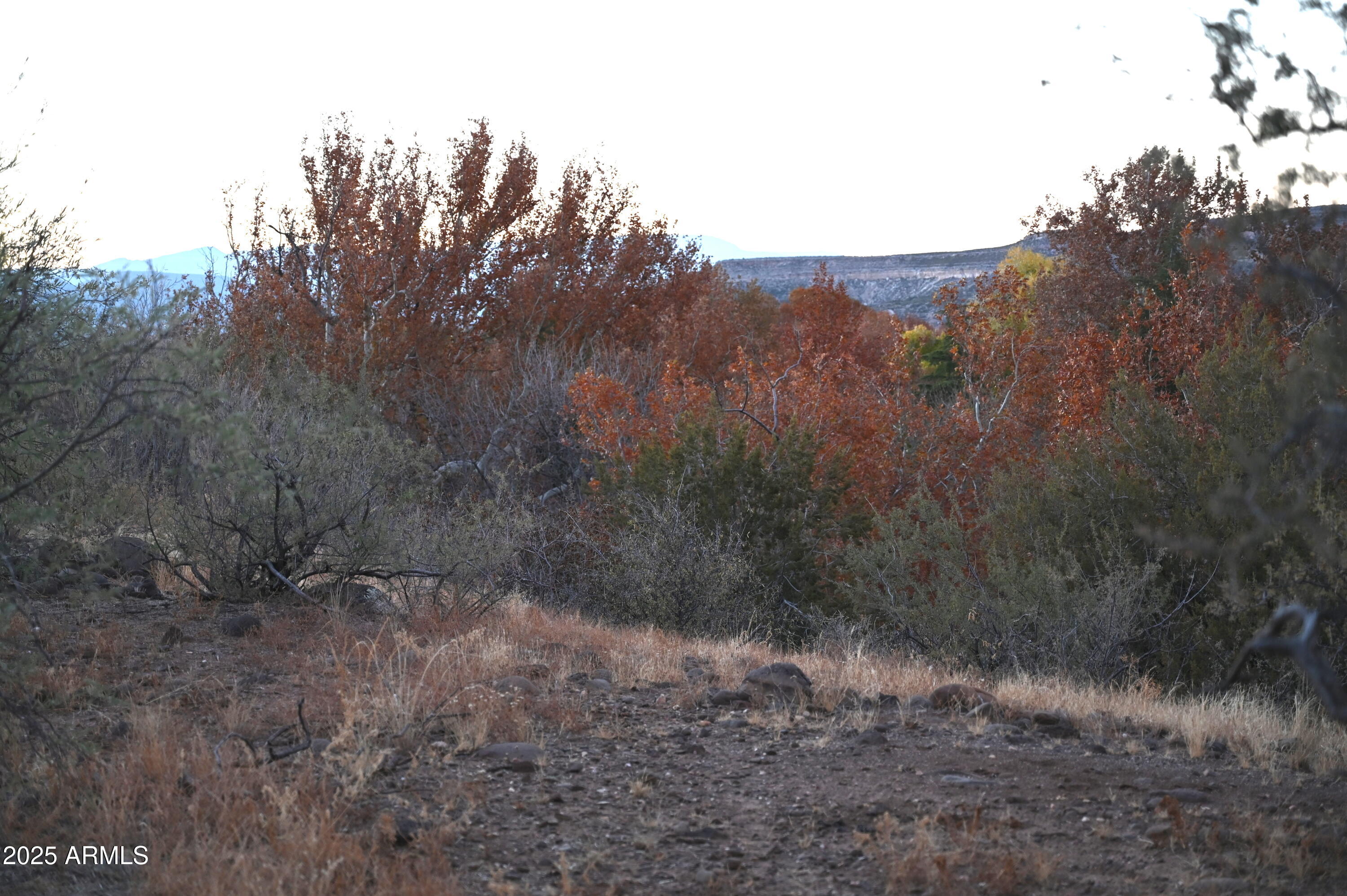 3661 S BAD ROCKS Road 152