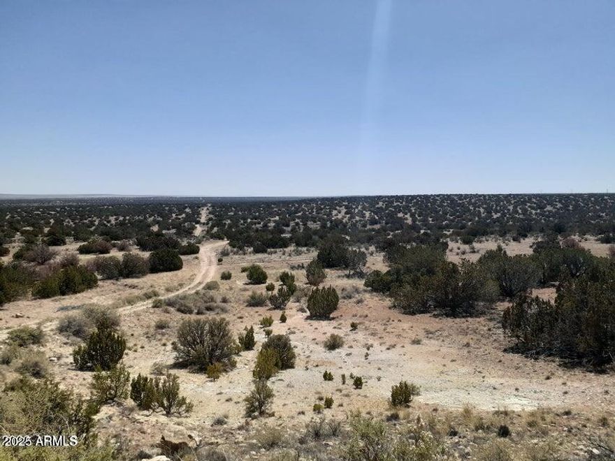 HIKING, STAR GAZING, WILDLIFE! It's a vibe...escape the concrete jungle of Phoenix. One of two/10+ acre lots for sale. Gorgeous, accessible, sun-dappled, natural terrain gently sloping with views all around. This property has numerous flat areas for building. Many gorgeous Junipers and Pinyon pines. Miles of scenic hiking, off-roading and exploring. Check out jackrabbits, coyotes, antelope, deer, elk, a bobcat or owls at night. Bring your toys or horses - wide open spaces lead to endless possibilities on your own land! Solar or wind for power makes this the ultimate off-grid destination for anyone! Dip into historical Winslow or Heber for a bite, a drink or supplies. Enjoy the freedom of the open outdoors, no HOA! BOTH lots, 20.7 acres total for $34,000.