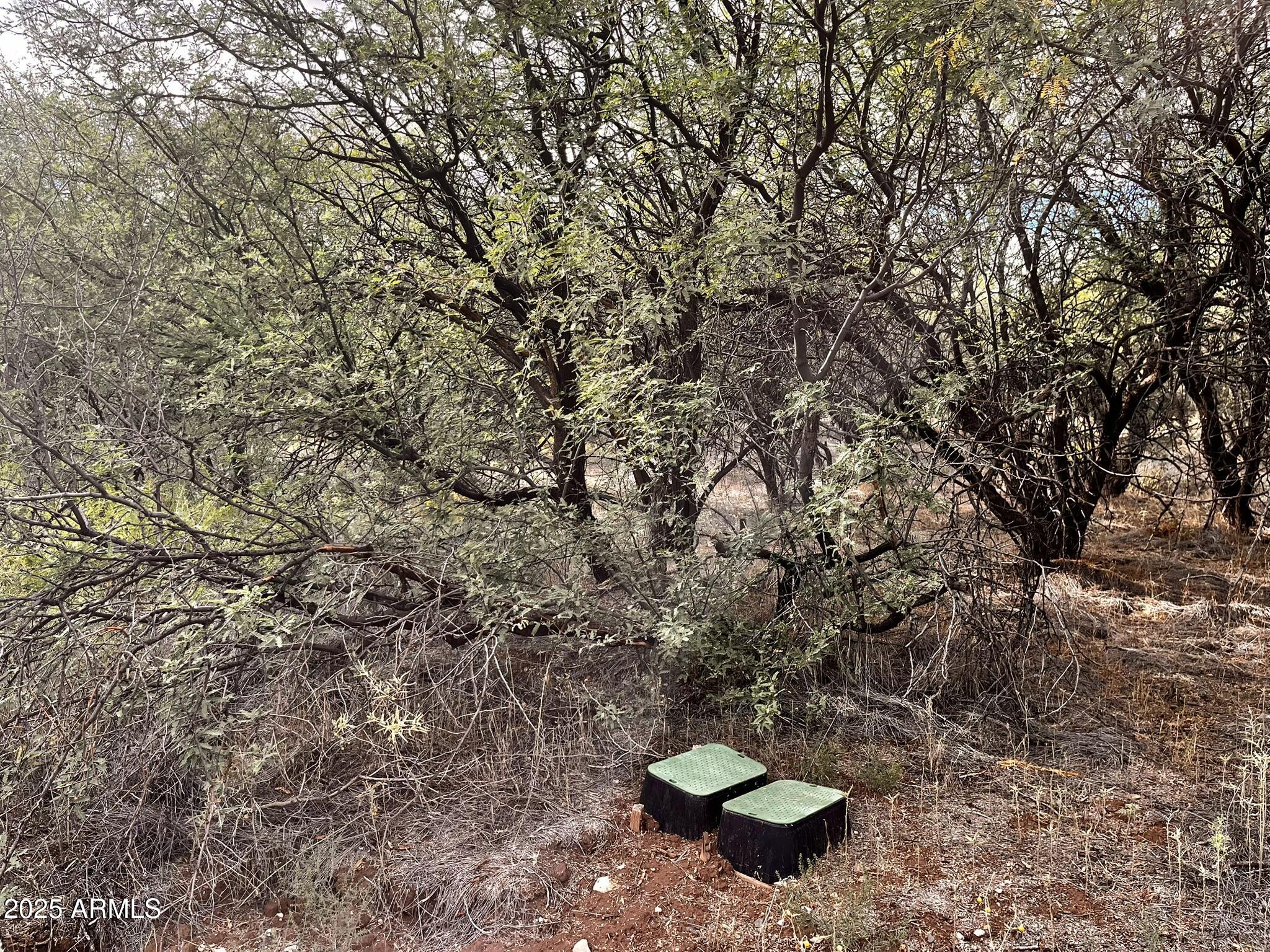 5340 N BARBARA Lane 634&635