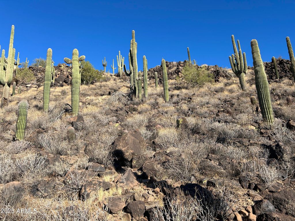 Photo of 27 W Maddock Road #-, Phoenix, AZ 85086 (MLS # 7019335)