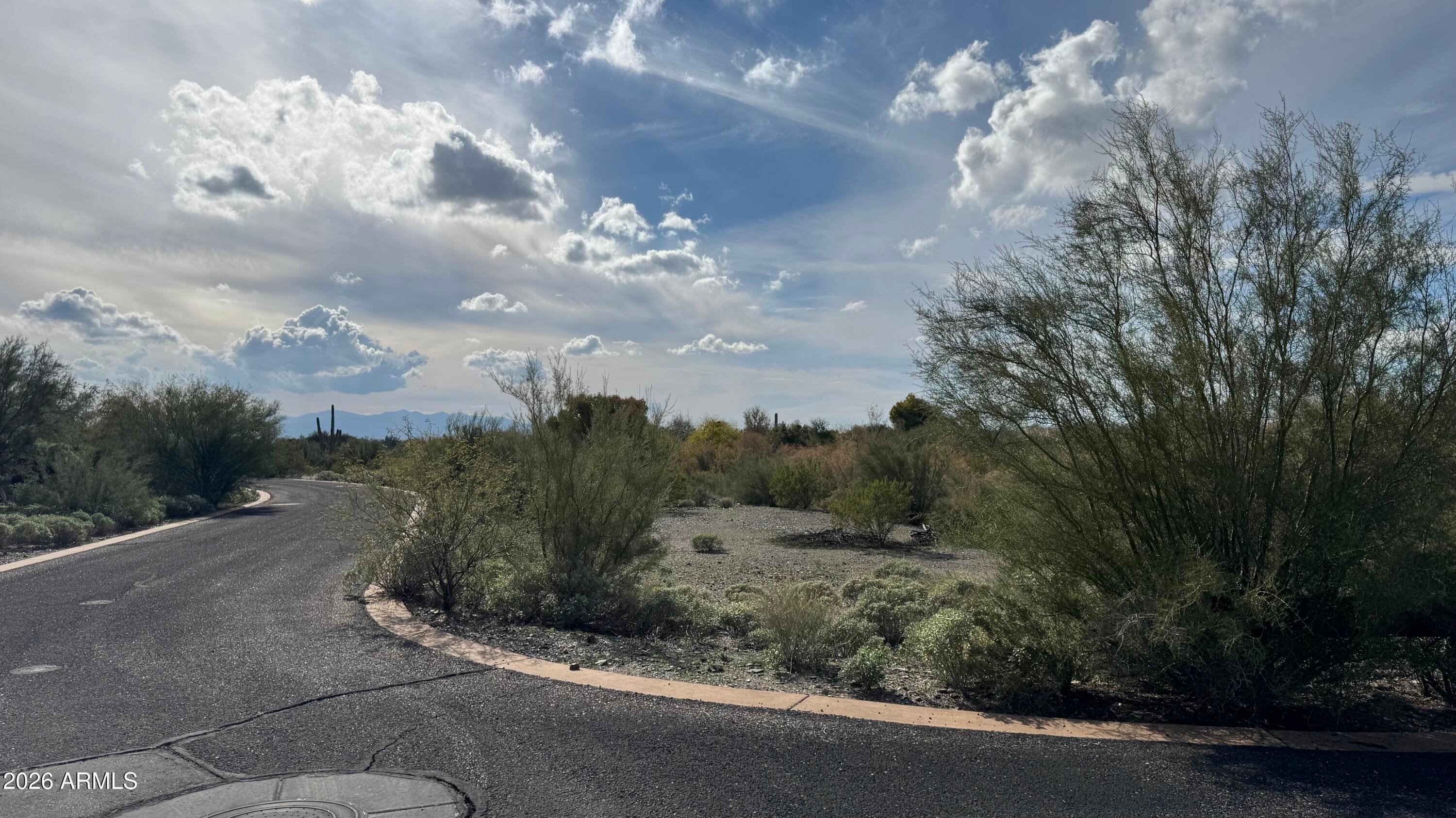 39688 N SERENE Ridge 11