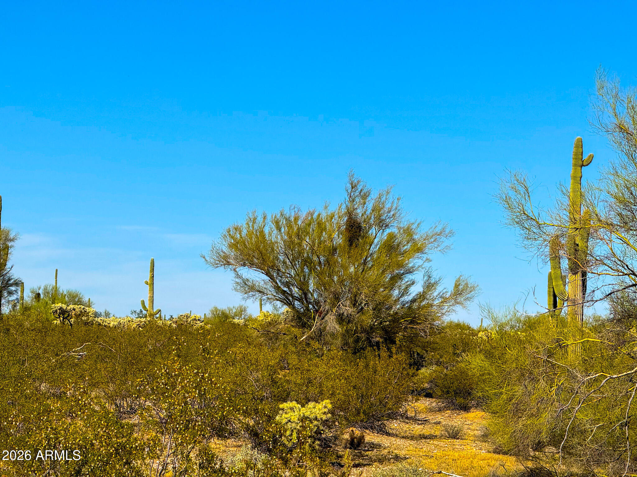 0 E Annadale Rd 5 Acres -- -