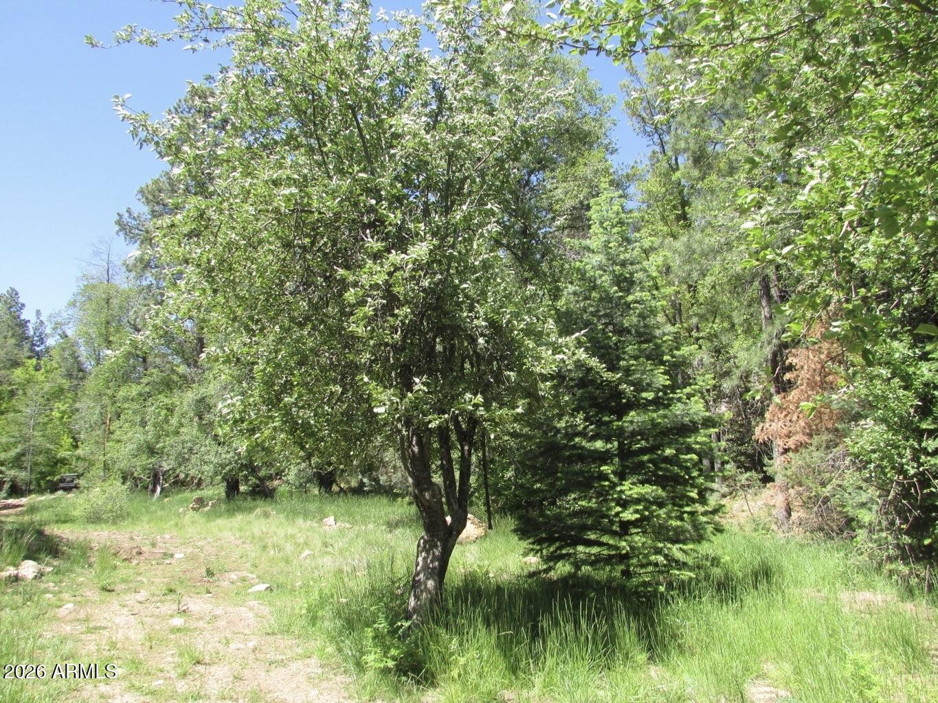 Rim Trail Mountain Club - Residential