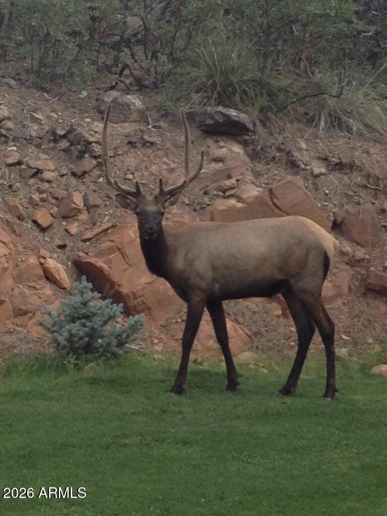 Rim Trail Mountain Club - Residential