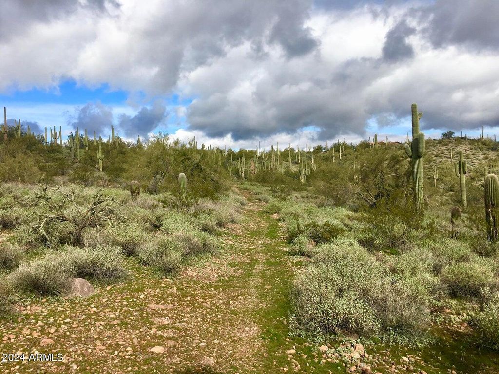 Photo of 3353 W Roughrider 5 Ac Road #-, New River, AZ 85087 (MLS # 6758652)