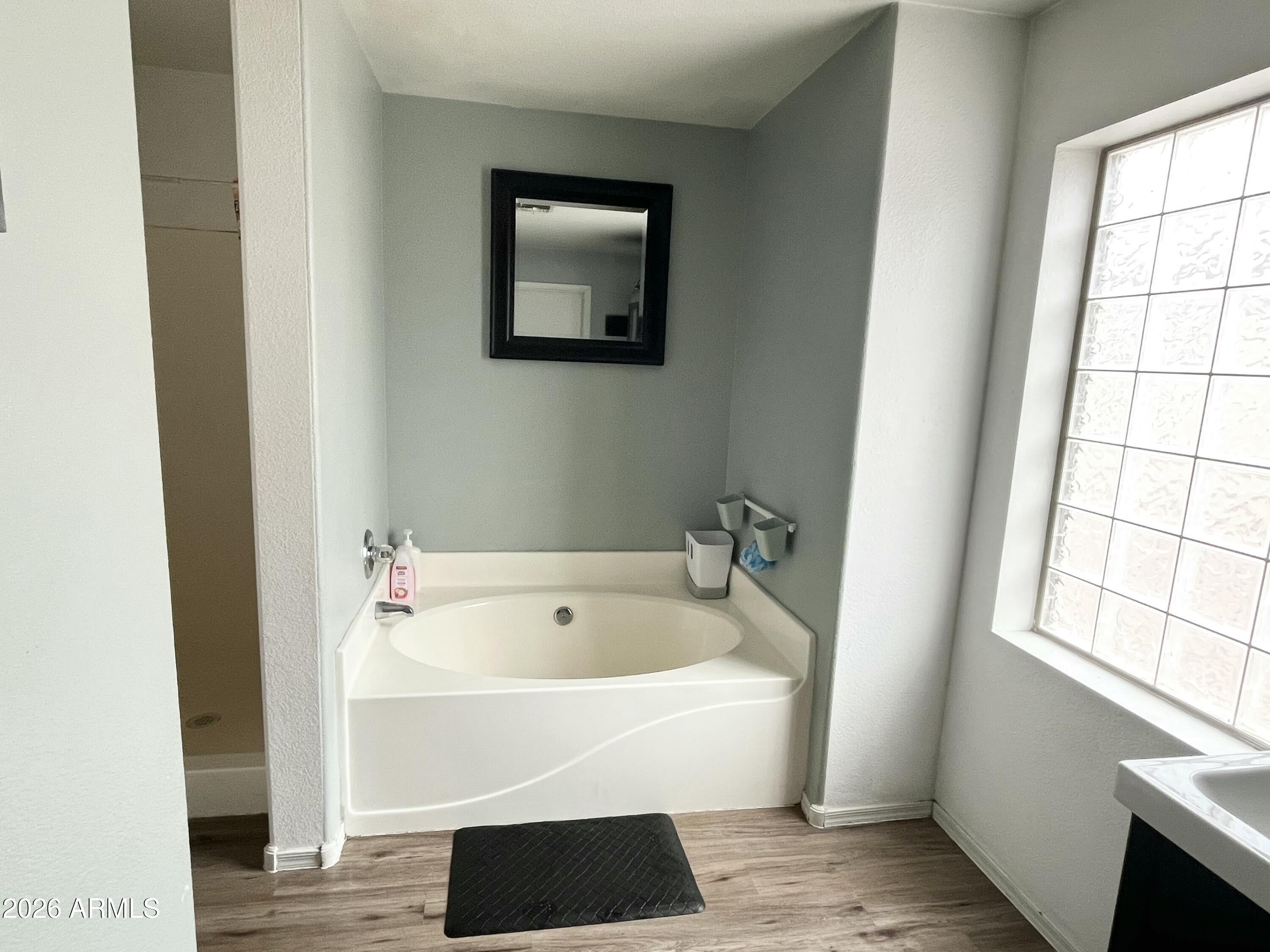 631 W SILVER REEF Court