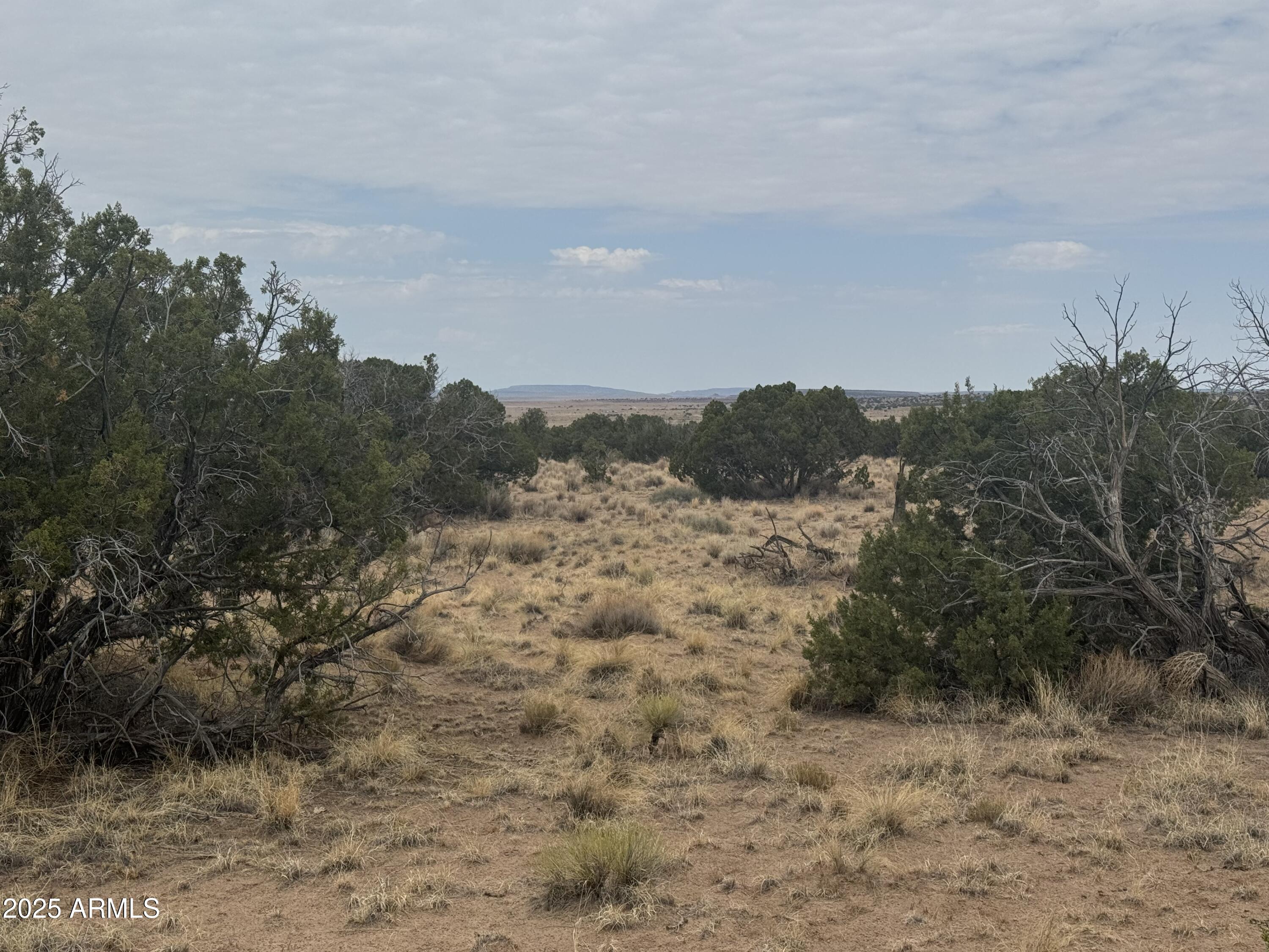 Lot 99 Carrizo Ranch -- 99