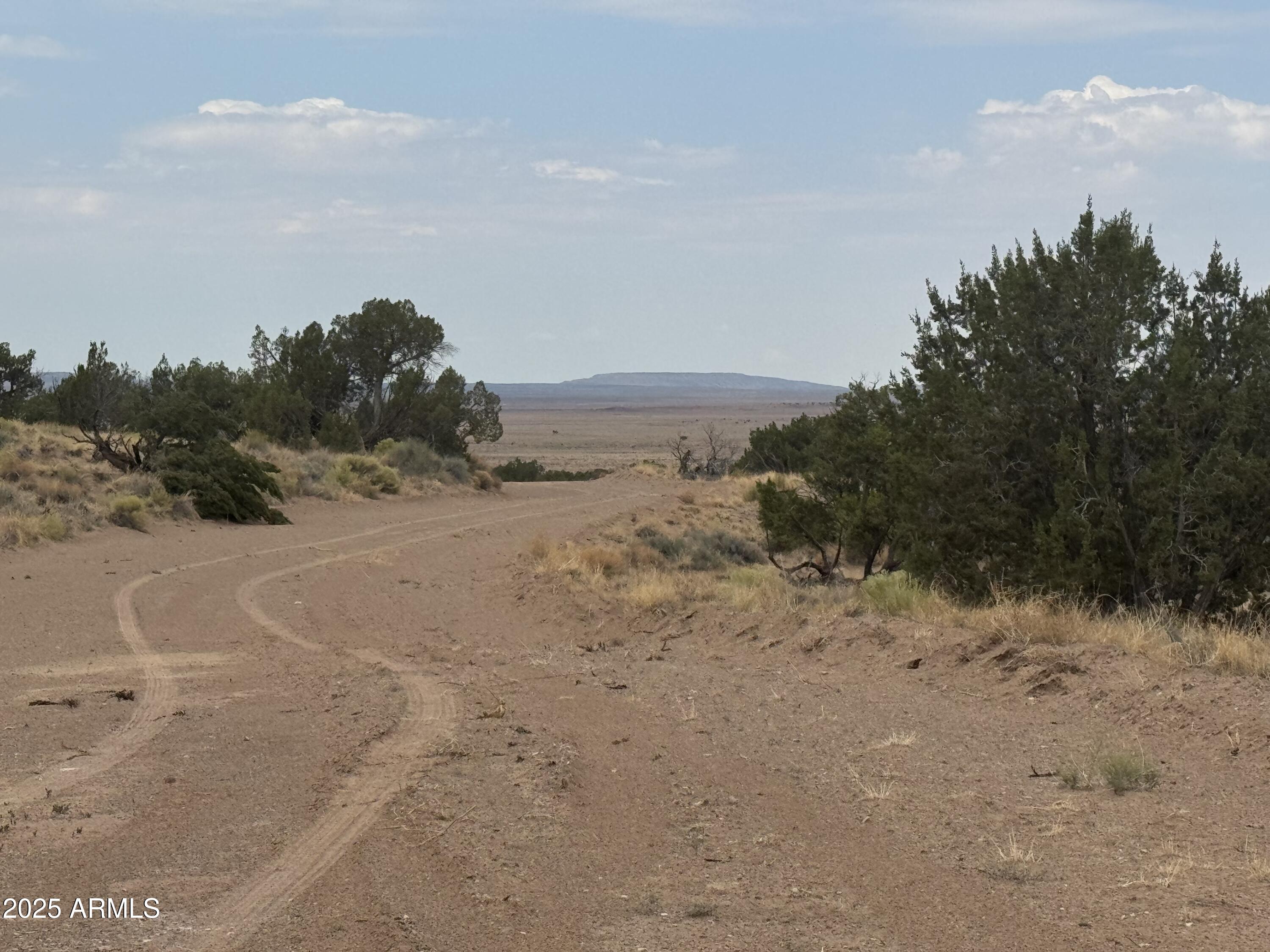 Lot 99 Carrizo Ranch -- 99