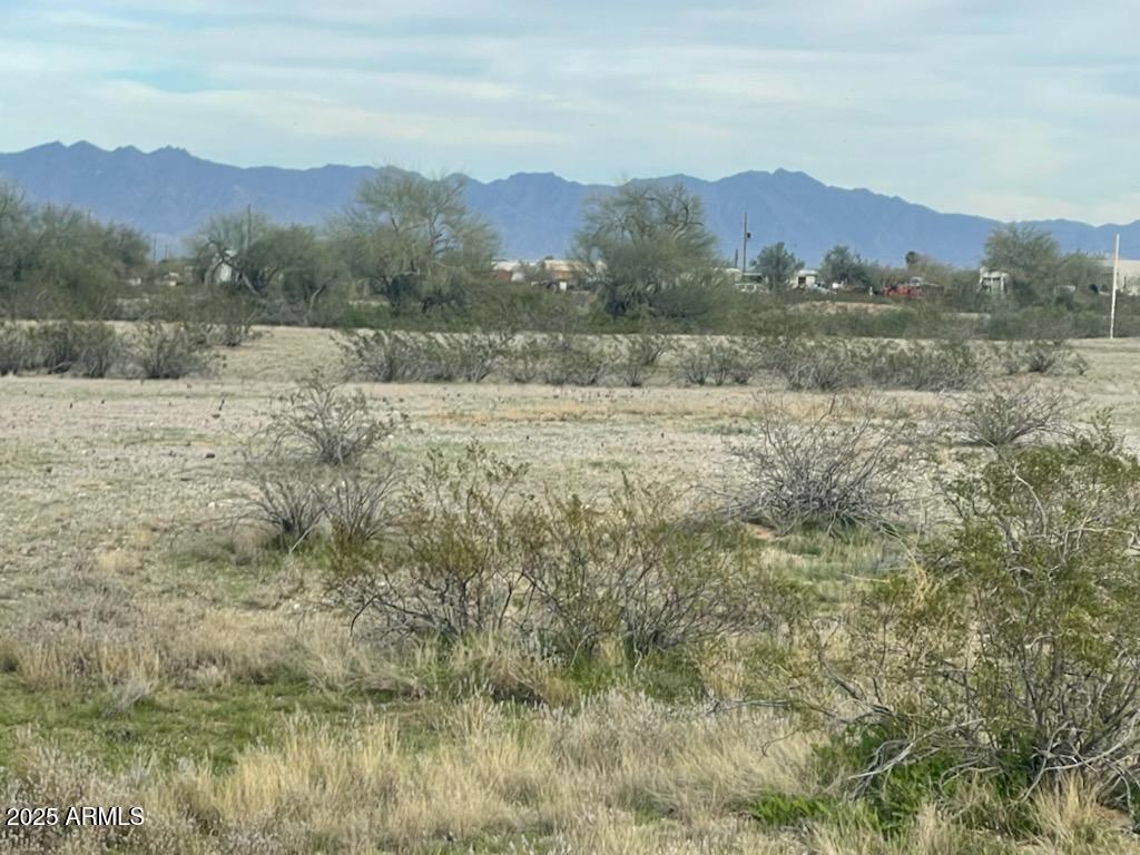 0 S 195th Avenue -