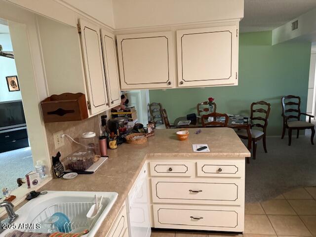 9909 W SANDSTONE Drive