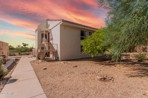 9885 E LA PALMA Avenue Gold Canyon AZ 85118