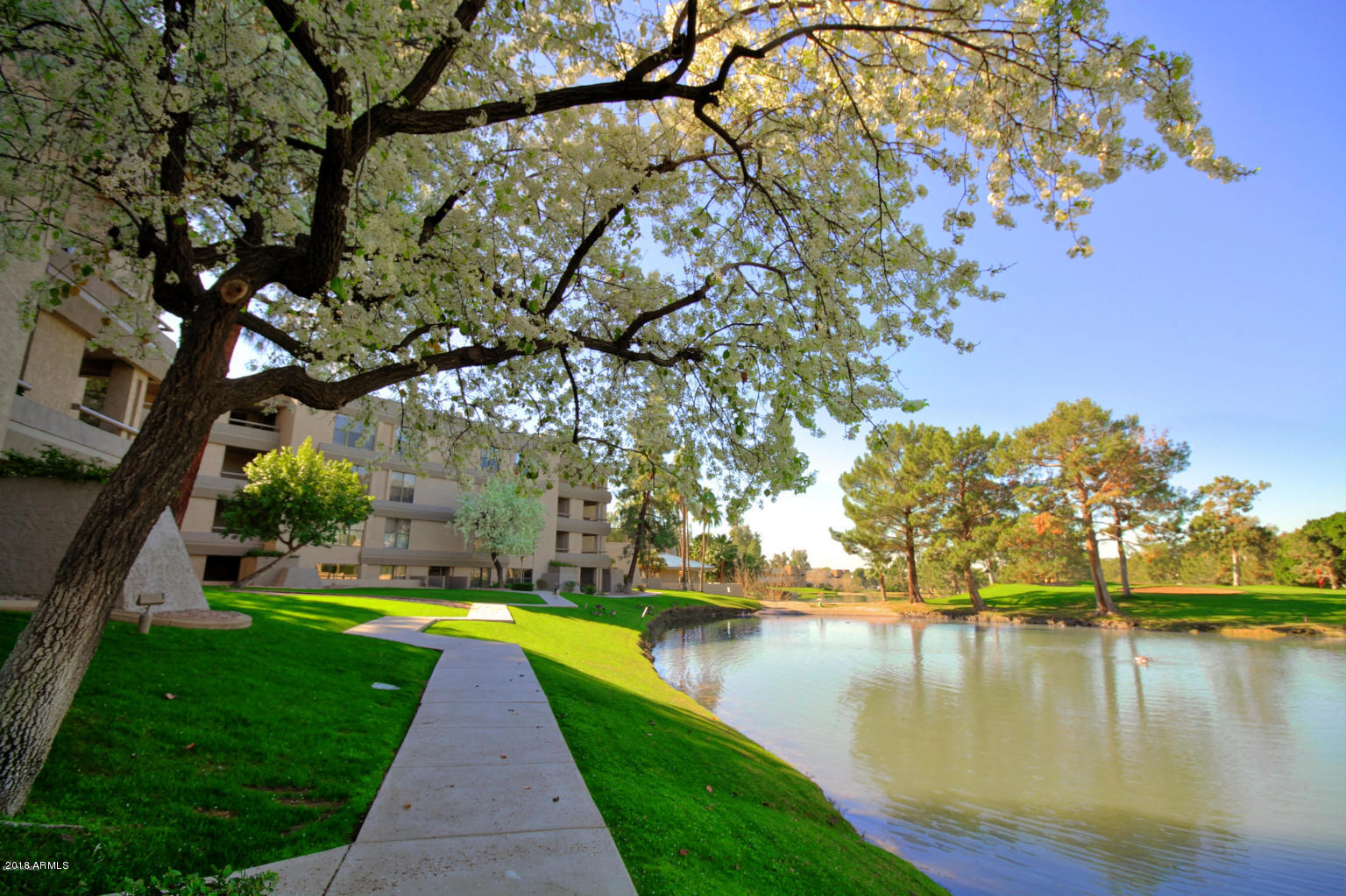 Phoenix, Arizona 85016, United States, 2 Bedrooms Bedrooms, ,2 BathroomsBathrooms,Residential,Active,205569