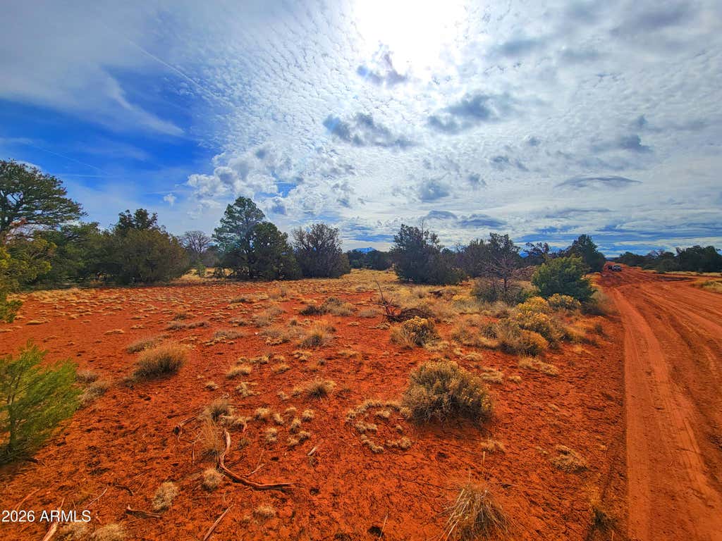 Photo of 664 S Lodestar Drive #352, Williams, AZ 86046 (MLS # 7056084)