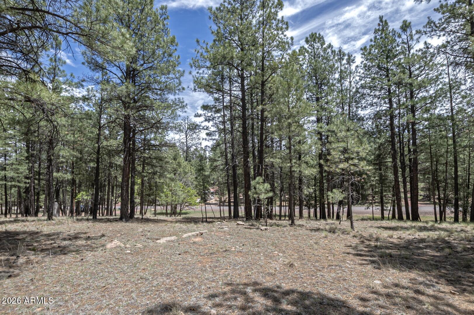 2132 W Pine Valley Road