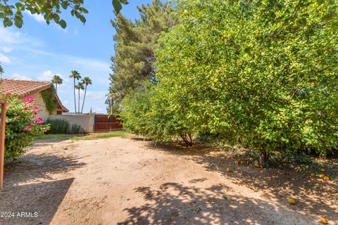 A home in Chandler