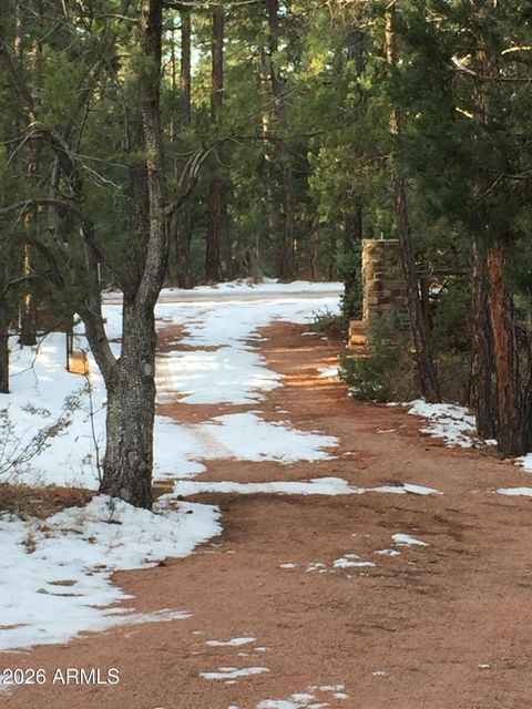 243 N WILD OAK Drive - Payson AZ 85541